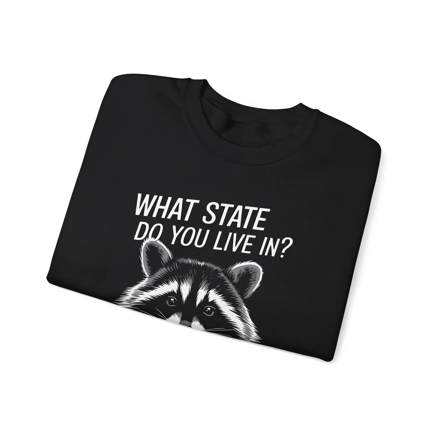 What State Do You Live In? A State of Constant Anxiety Crewneck - MindLyssMoments LLC
