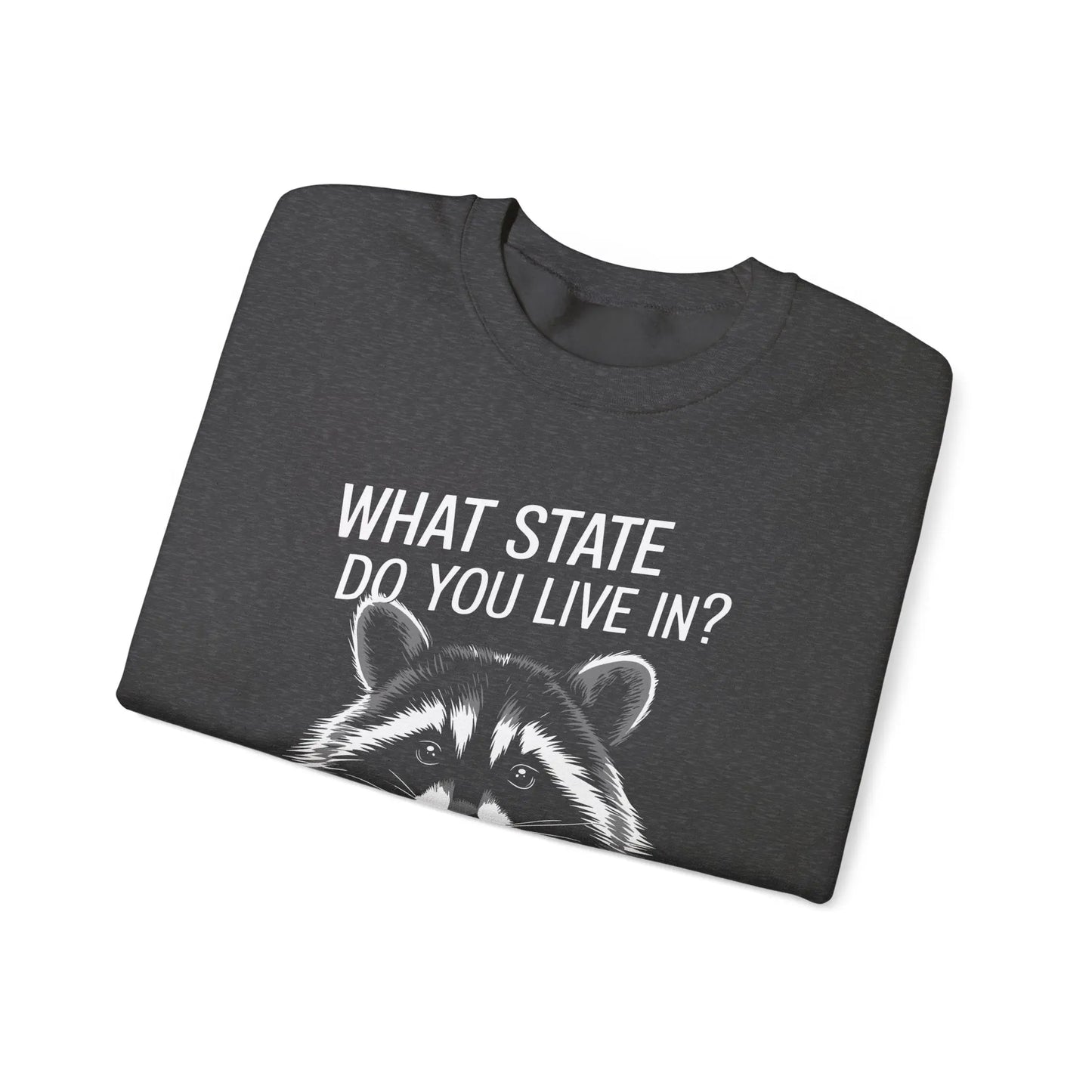 What State Do You Live In? A State of Constant Anxiety Crewneck - MindLyssMoments LLC