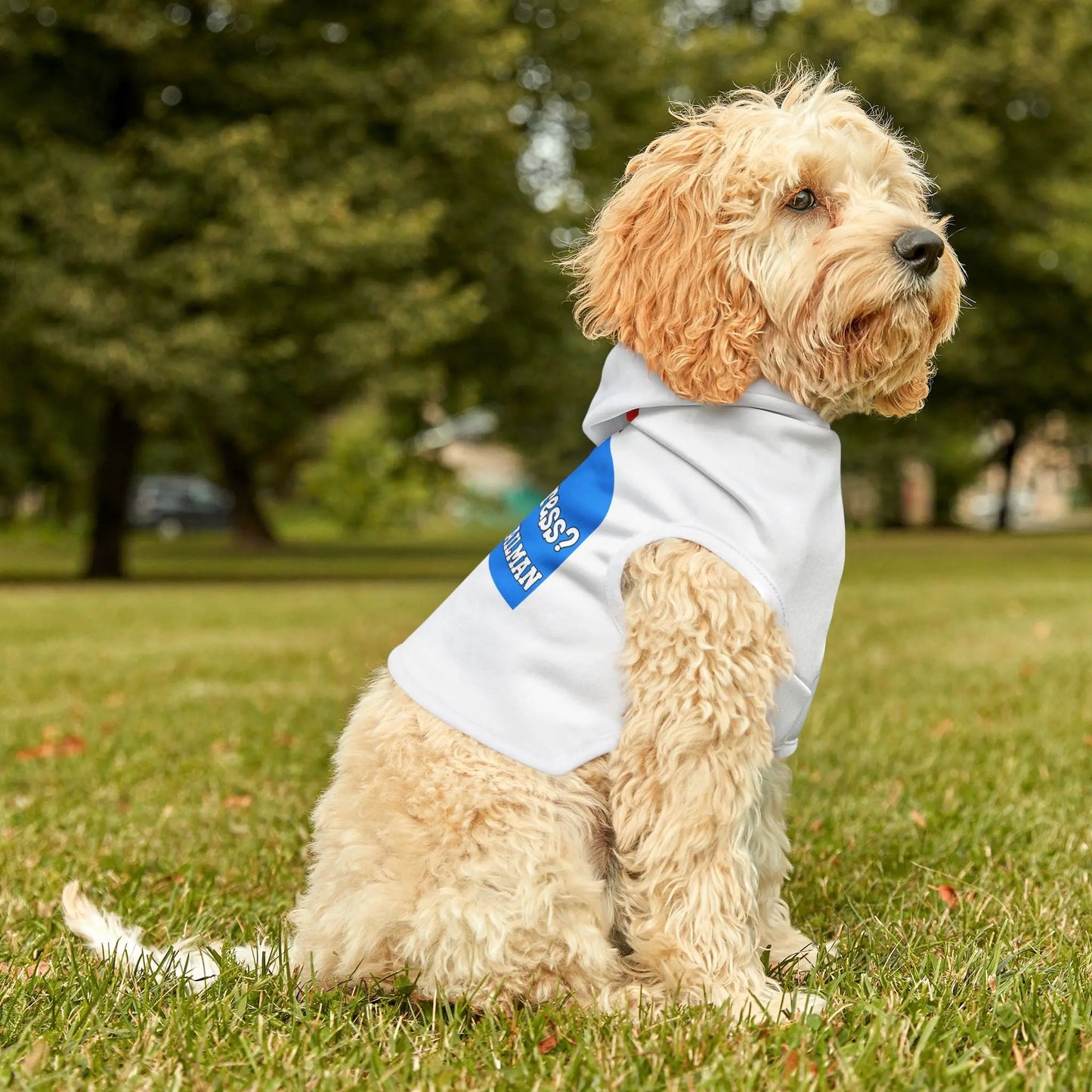 My Only Stress? The Mailman Pet Hoodie Printify