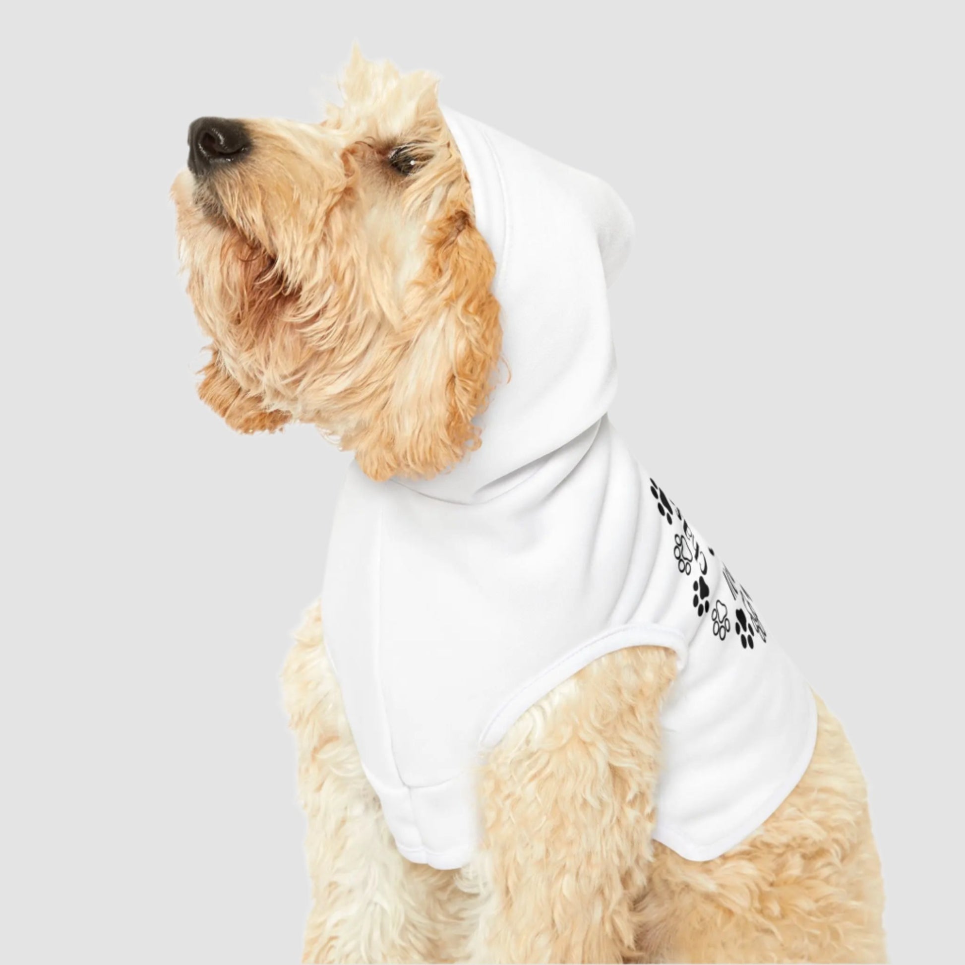 Chase Happiness, Not Your Tail Pet Hoodie Printify