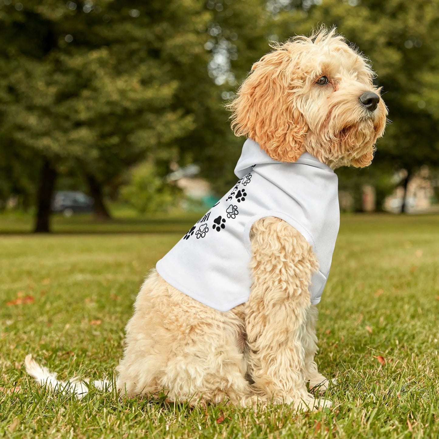 Chase Happiness, Not Your Tail Pet Hoodie Printify