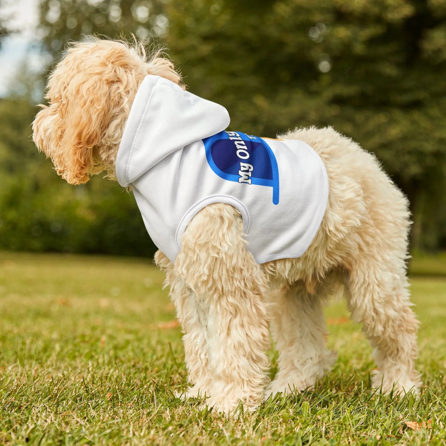 My Only Stress? The Mailman Pet Hoodie Printify