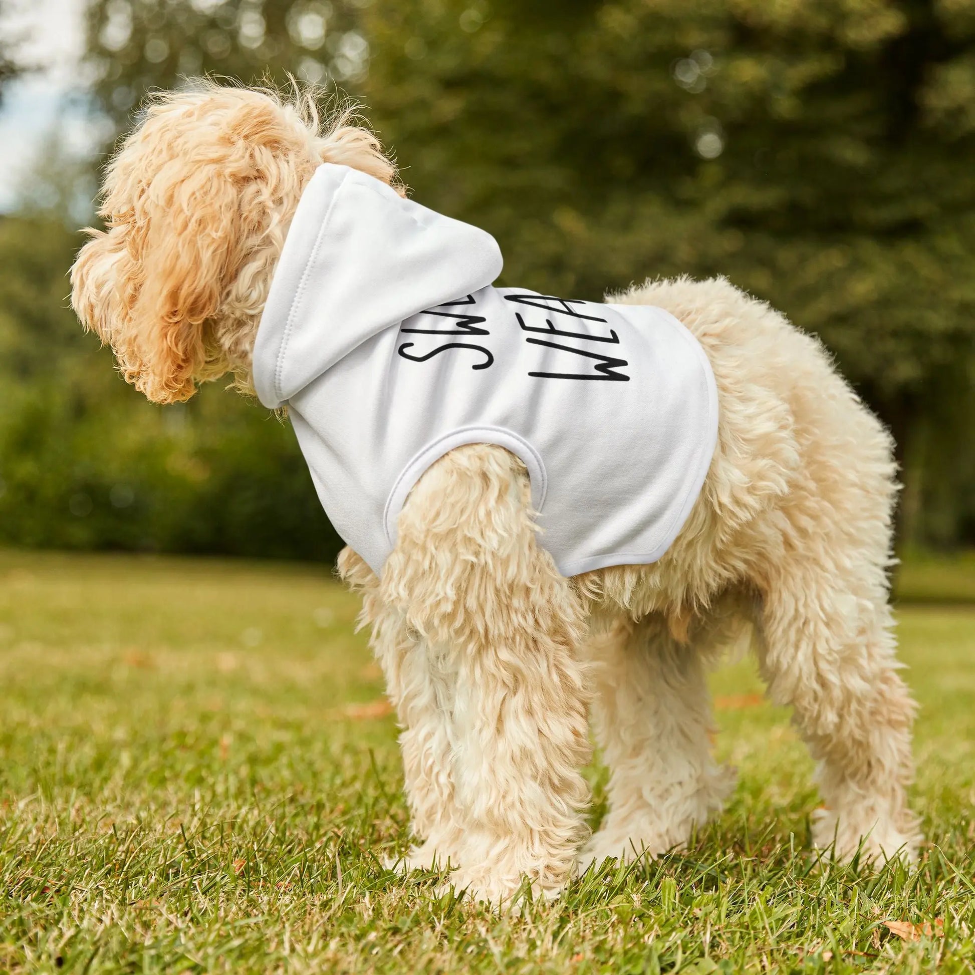 Sweater Weather Pet Hoodie Printify