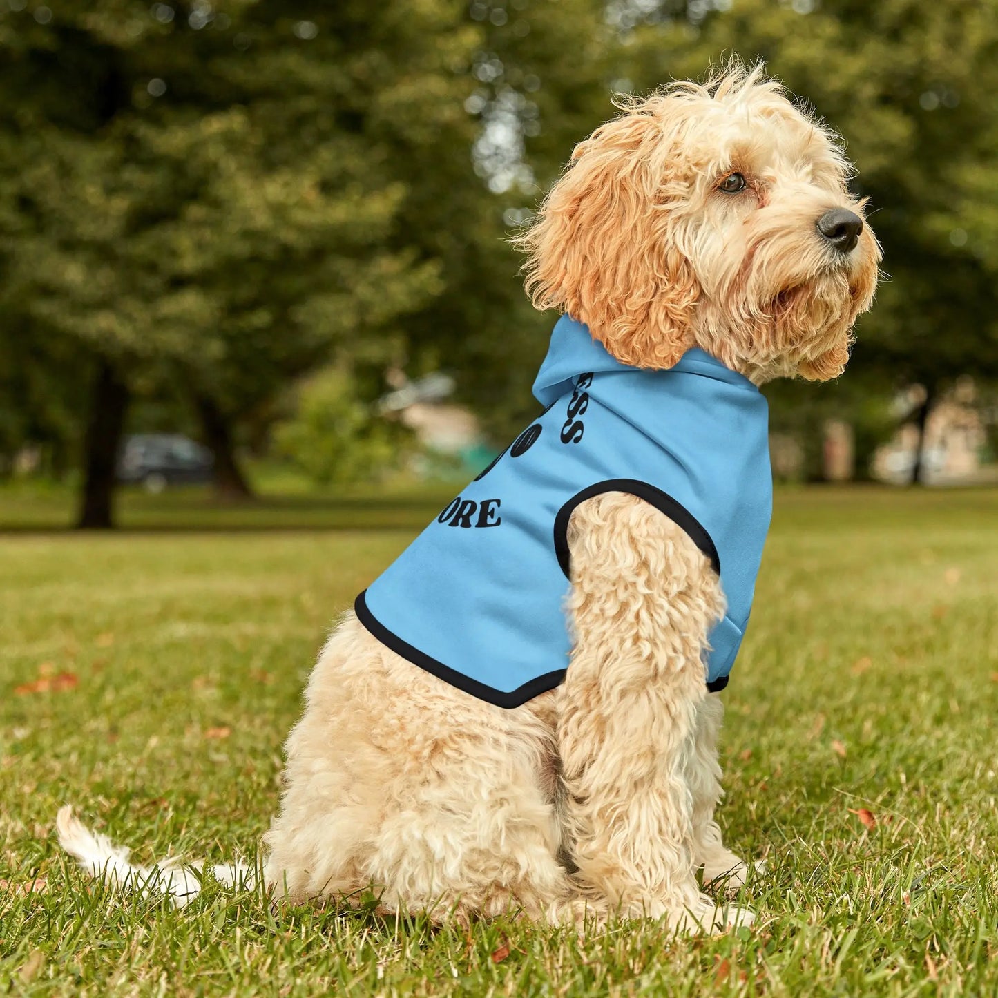 Bark Less, Wag More Pet Hoodie Printify