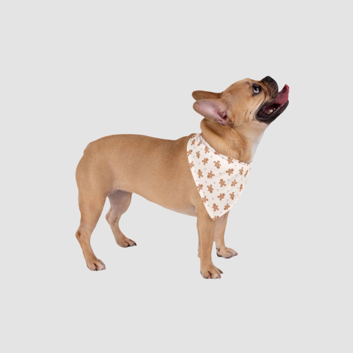 Gingerbread Pet Bandana