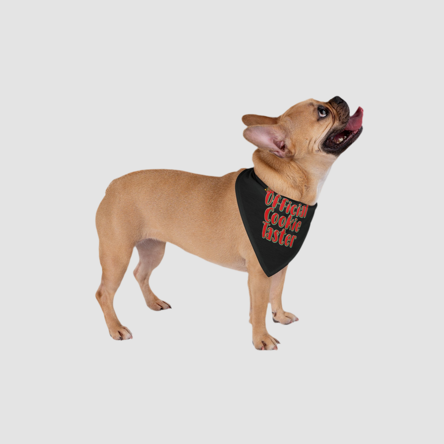 Official Cookie Taster Pet Bandana